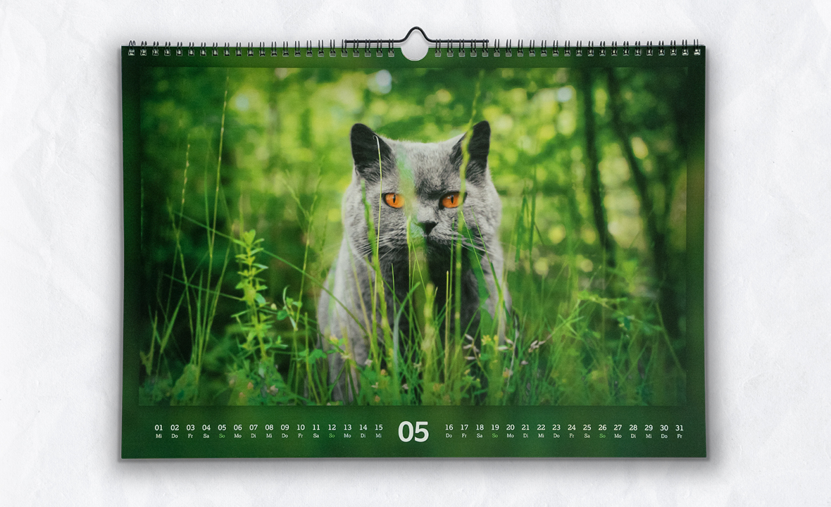 Wandkalender mit Fotomontagen von verschiedenen Katzen